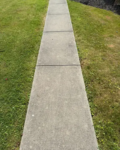 Before: a concrete walkway through a lawn, gray and blotchy